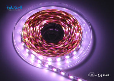 Relight van de LEIDENE RGB decoratieve LEIDENE Bandstrook gelijkstroom 12V 24V SMD5050 flexibele strook
